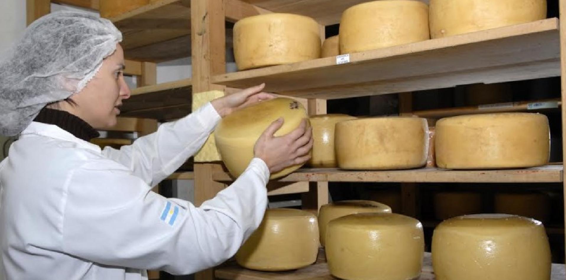 INTI cluster quesero tandil calidad quesos mejora