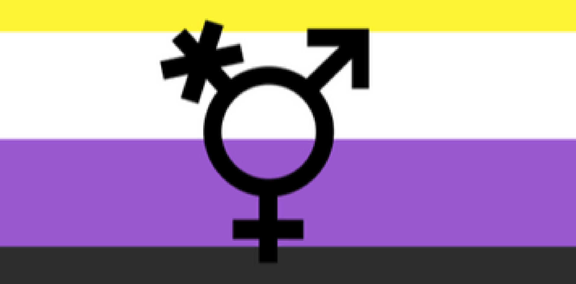 Desde el colectivo travesti-trans buscamos visibilizar e incluir a todas las personas