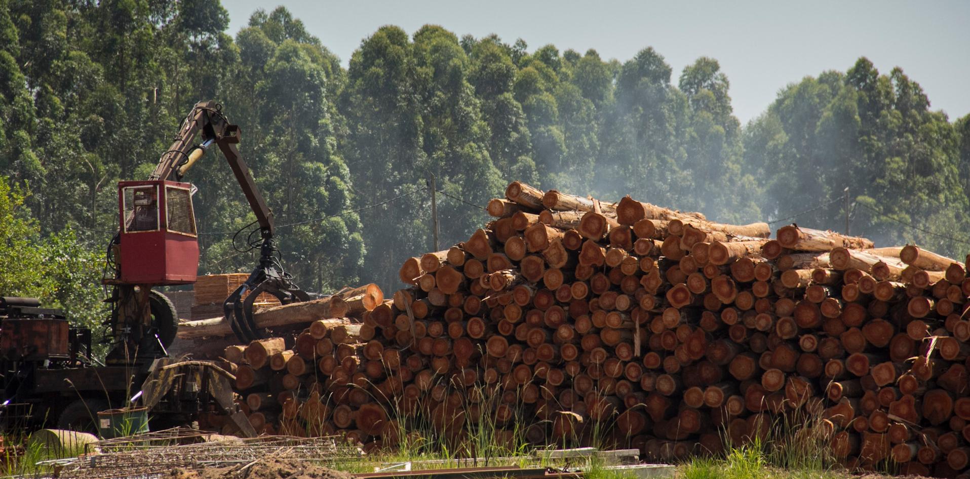 encuesta madera muebles INTI faima sector económico producción